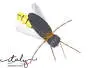 Honey Bee Spinfly - 0,55 g - 2,8 cm - hook size 8