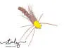 Evo Brown Stonefly Spinfly - 0,70 g - 3,5 cm - hook size 6