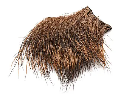 PECCARY PATCH hotfly