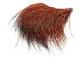PECCARY PATCH hotfly - rusty