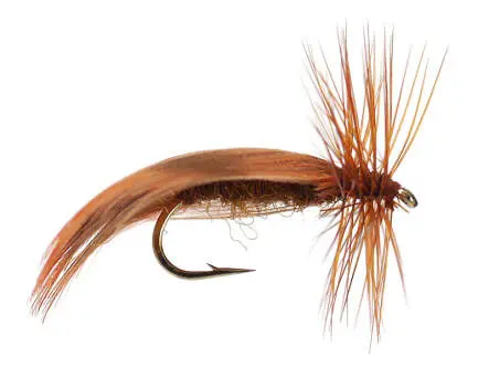 Europa Brown 12