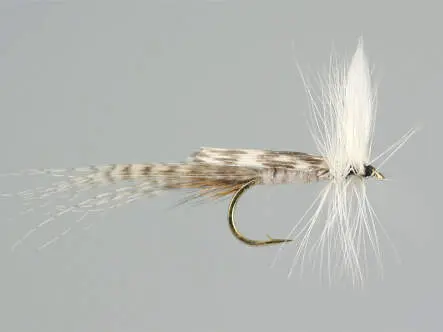 White Mayfly Dun 10