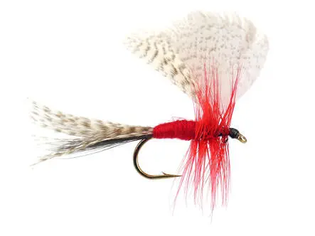 Montreal Mayfly Dun 10