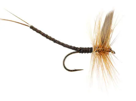 Ginger Quill Extended Body Mayfly 10