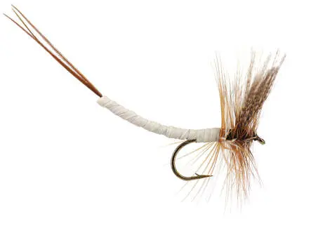 Gray Fox Extended Body Mayfly 10