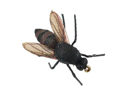 Honey Bee 12