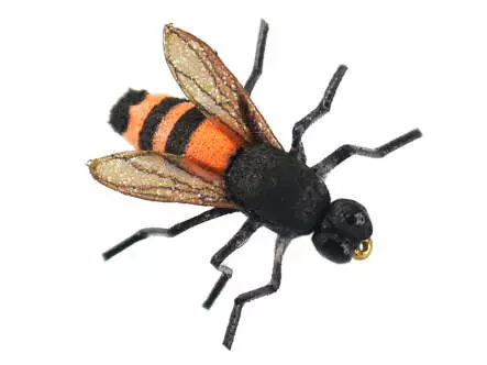 X-true Honey Bee Orange 12
