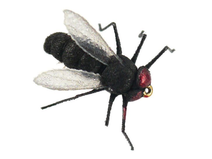 X-true Black Fly 12