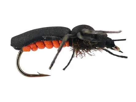 Fire Fly 12