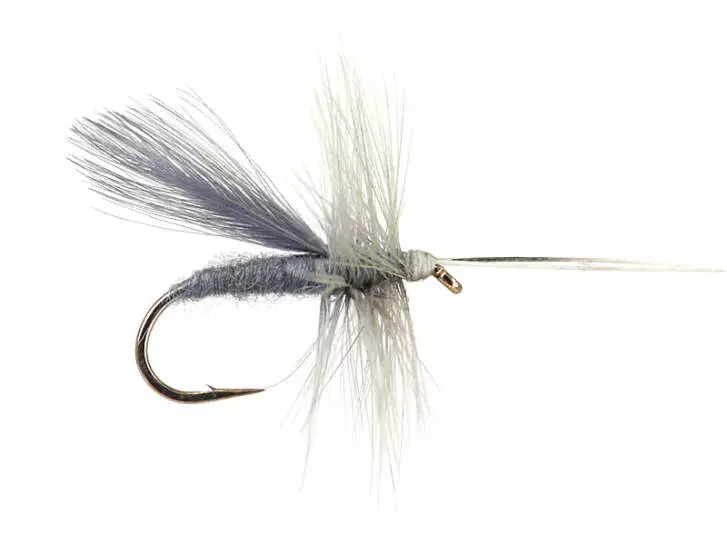 Dun Caddis