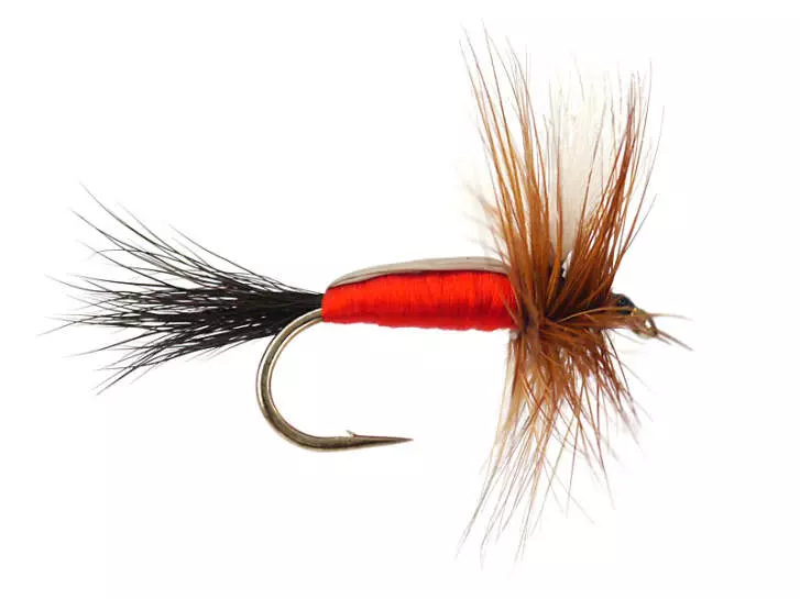 Royal Humpy