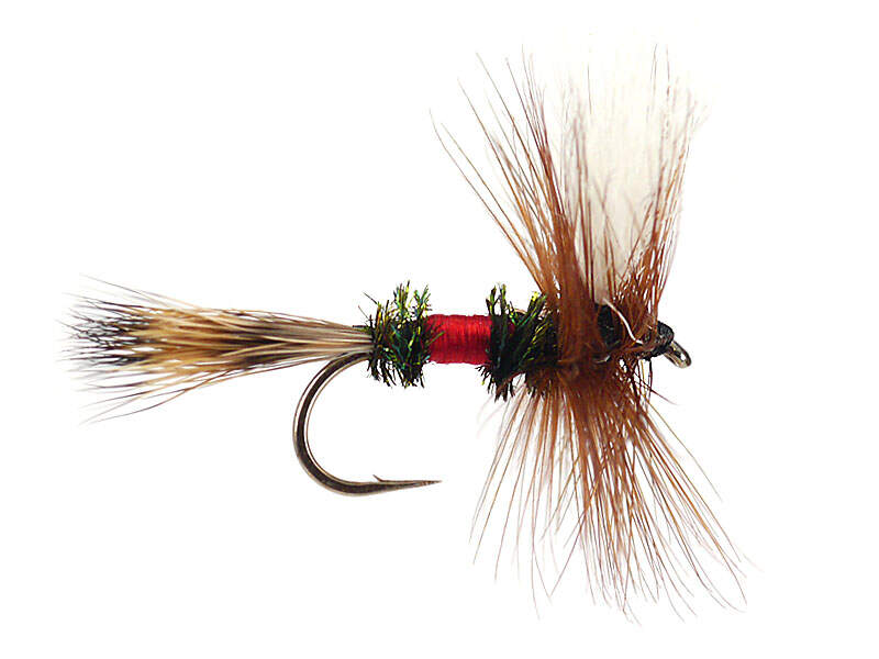 Royal Wulff dry fly