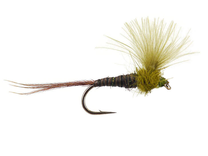 CDC Quill Olive