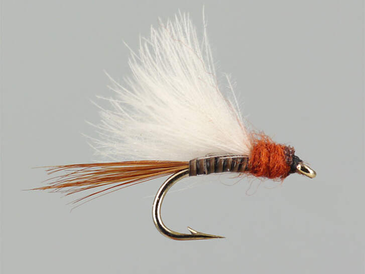 CDC Quill Brown