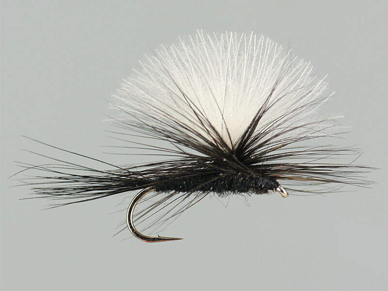 7 x BLACK Gnat CDC Parachute Dry Flies BARBLESS sz 14