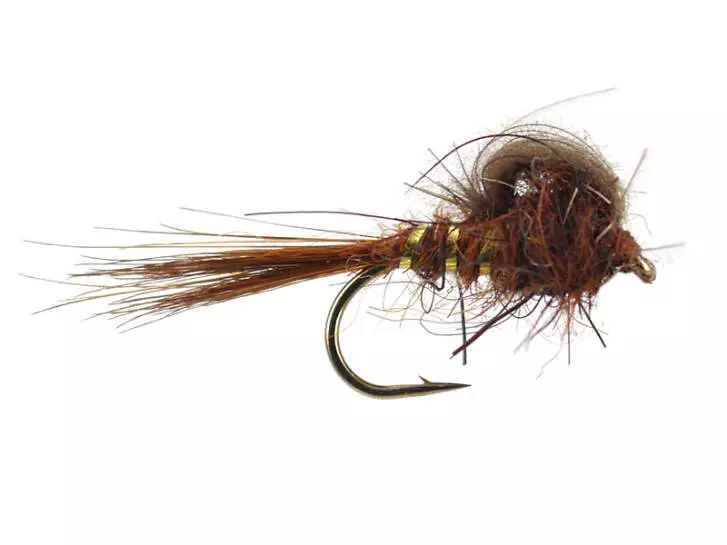 CDC Loop Emerger Brown