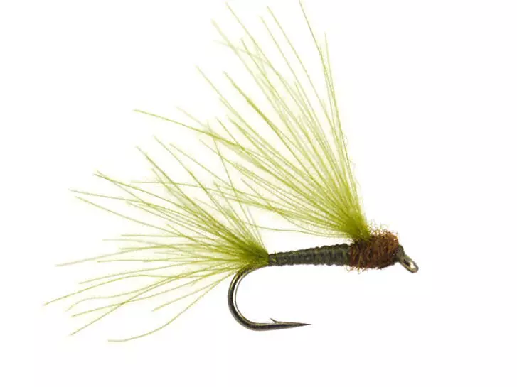 CDC Splitwing Dark Olive