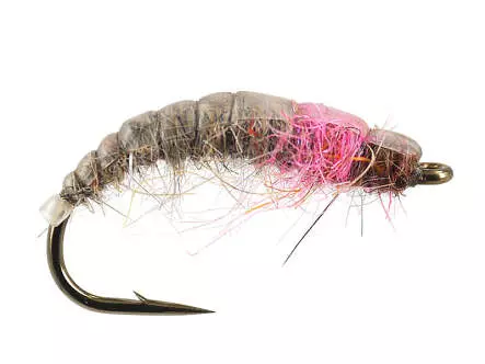 Pink Catching Czech Nymph