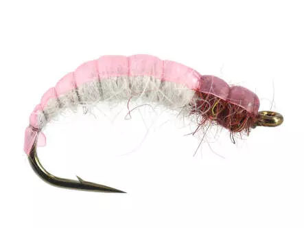 White Back Pink Czech Nymph