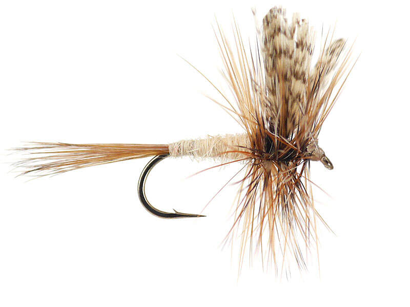 march-brown.jpg