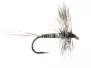 Mosquito