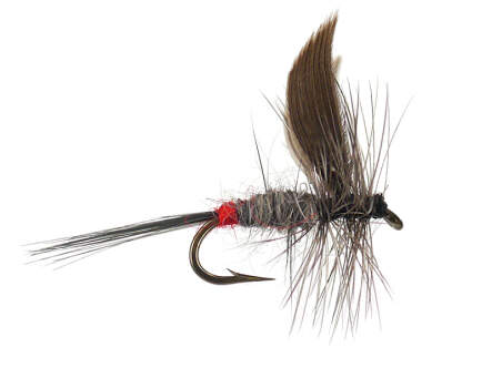PALE WATERY DUN PARA Dry Trout & Grayling fly Fishing flies  Dragonflies 