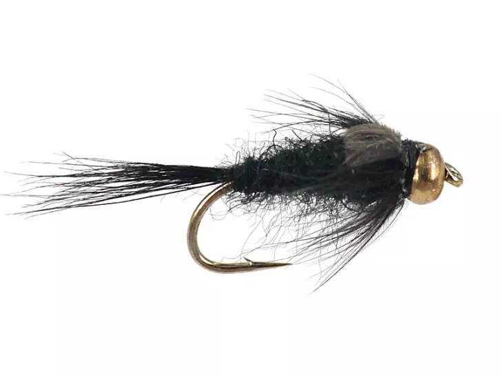 Black Gnat