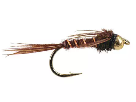 Peacock Pheasant Tail
