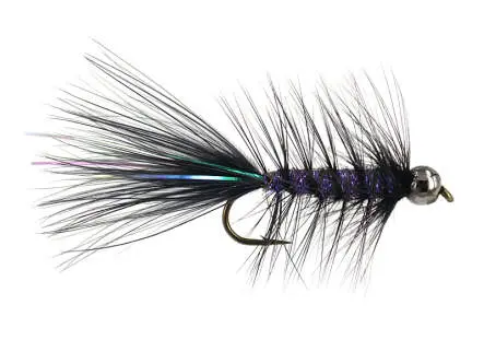 W.B. Bright Violet Competition