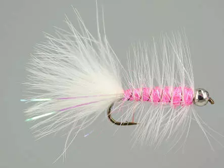 W.B. Bright Pink Competition