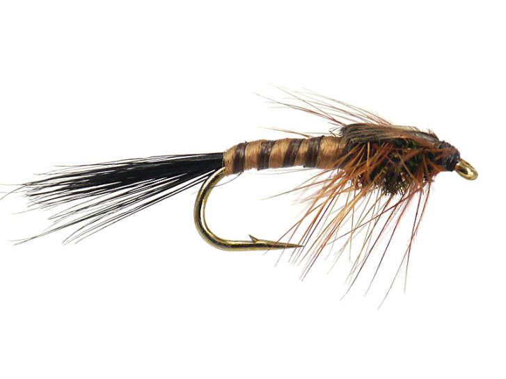 March Brown