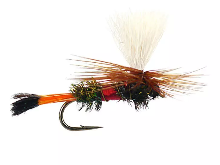 Royal Coachman Parachute Superb