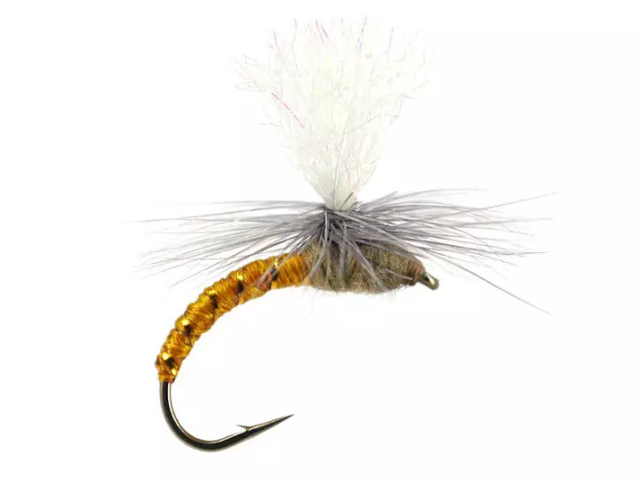 Klinkhamer Dark Yellow