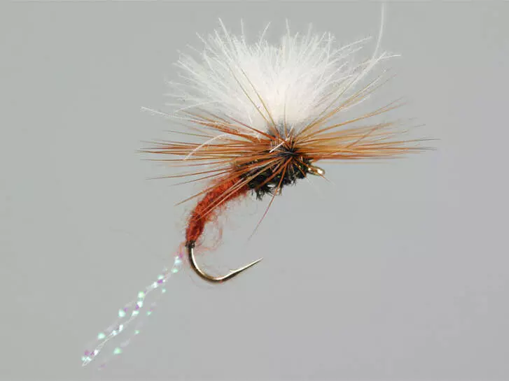 CDC Flash Klinkhammers Brown