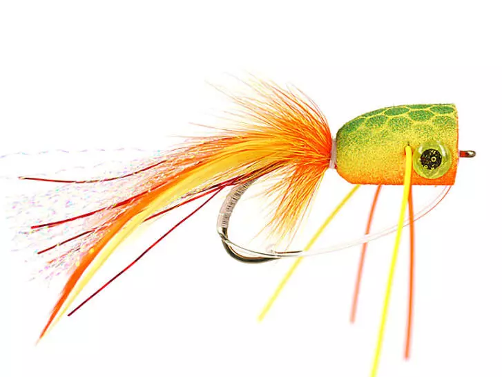 Orange Tiger Superb Popper