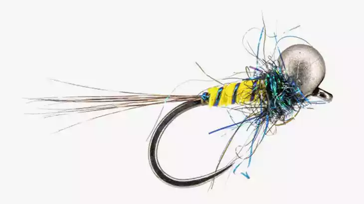 Dry_Nymph_2