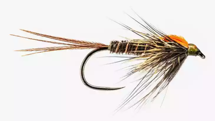 Long_Shank_Nimph_2