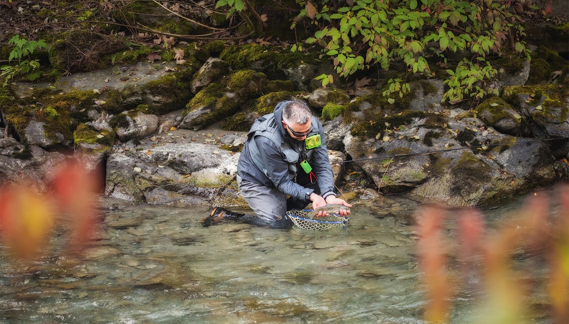 Ruetz catch of a brown trout