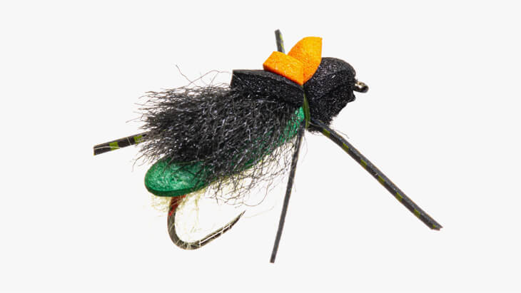 Dry fly fly tying fly fishing beetle