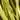 D-RIB STANDARD hotfly - 1,2 mm - 250 cm - yellow