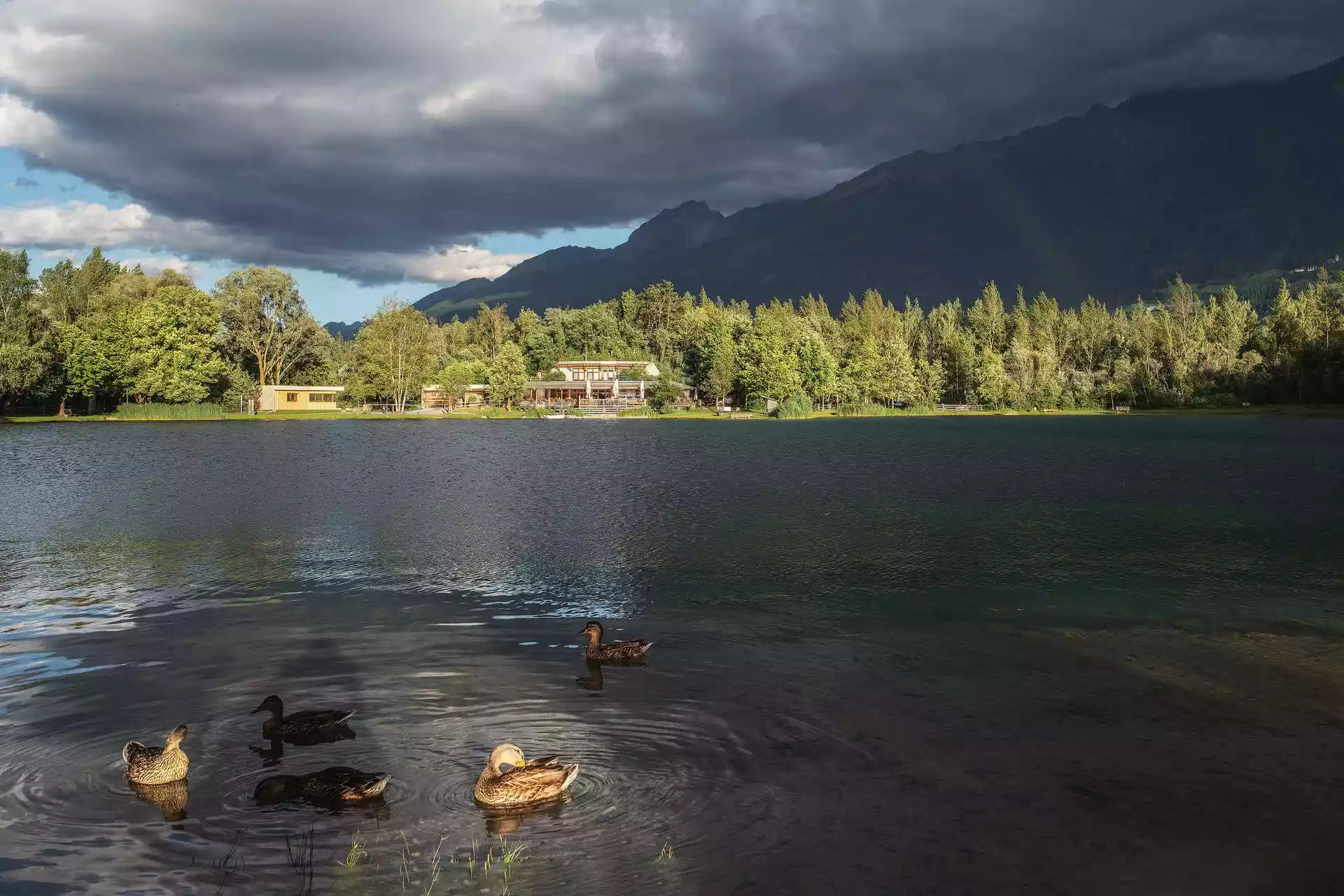 Fliegenfischen Stillwasser See Stausee Talsperre Angelteich Forellenteich Bergsee Baggersee