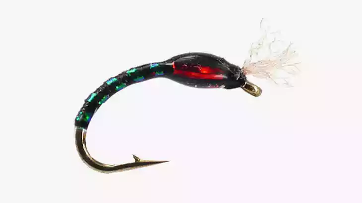 Fliegenfischen Stillwasser Fliegenmuster Buzzer Zuckmücke Larve Chironomide 