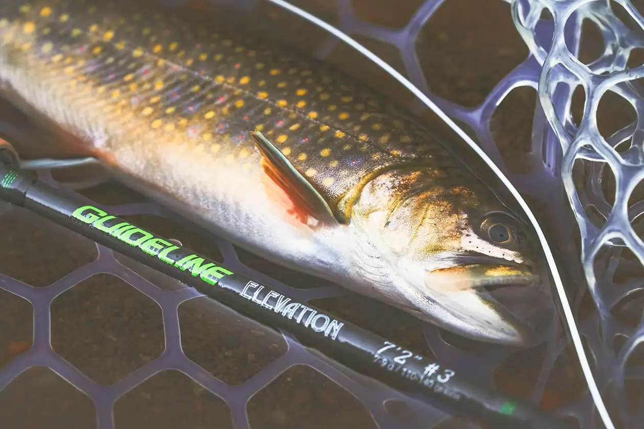 best fly rod for brook trout fishing Scott Murray's Mountain Outfit The Best Trout Fly Rods